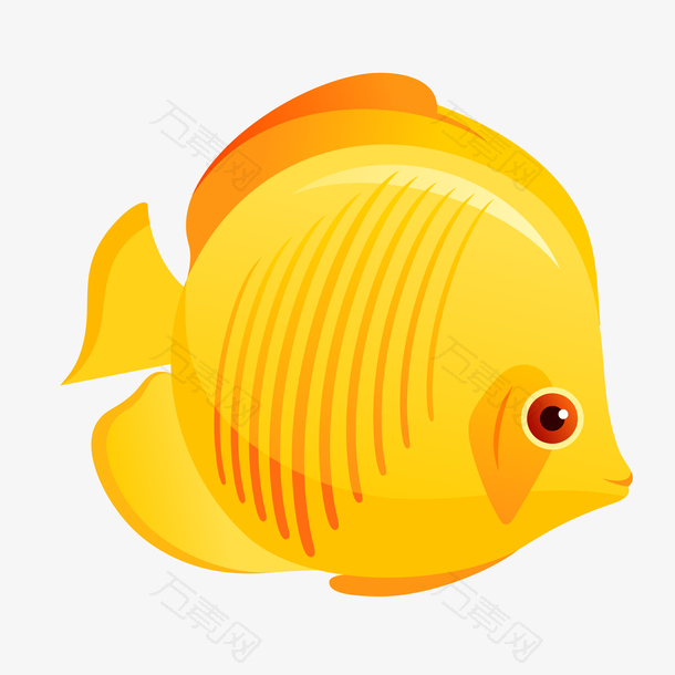 世界海洋日金色条纹鱼