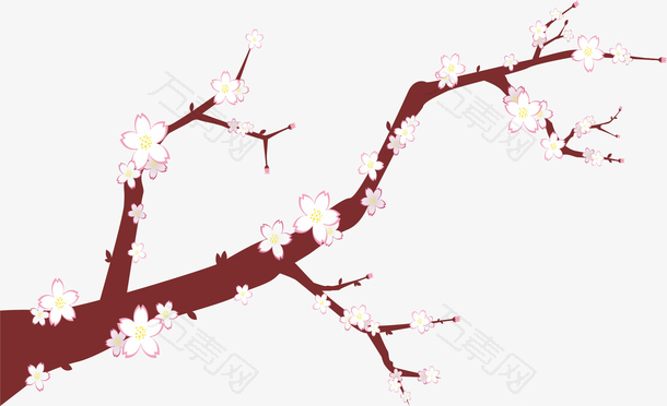 美丽的白色樱花树枝