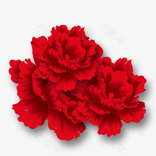 大红色鲜花