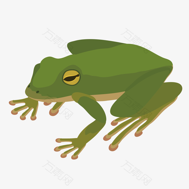 绿色卡通设计青蛙