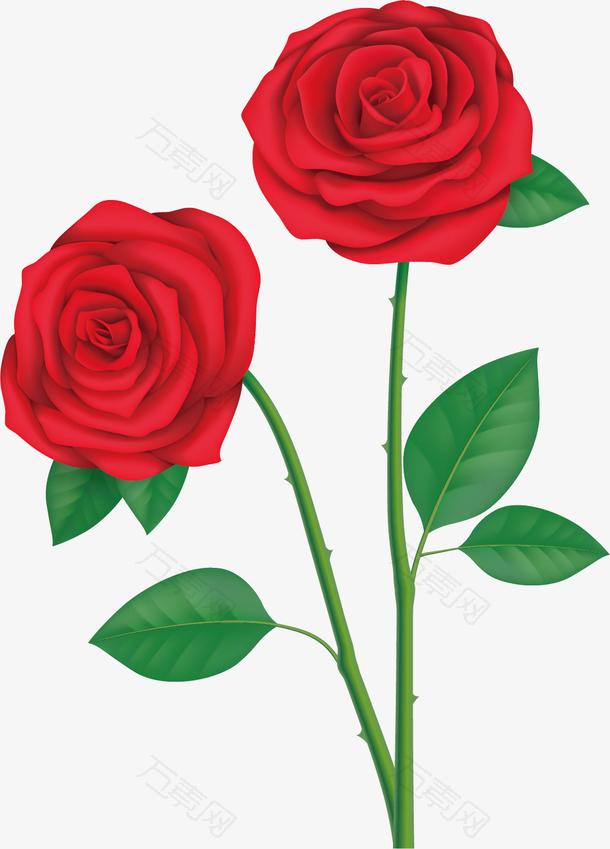 矢量图带刺的玫瑰