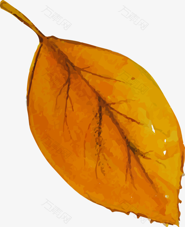 手绘水彩枯黄树叶