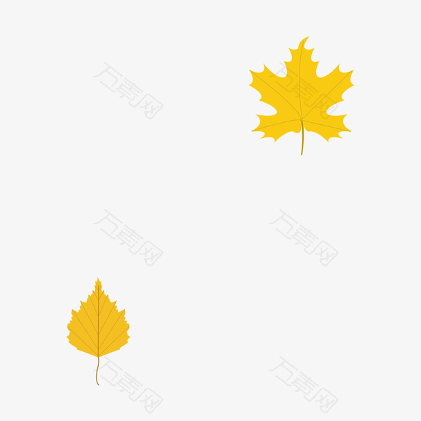 两片黄色的落叶