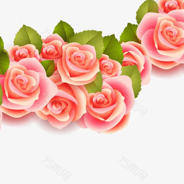 情人节粉色玫瑰