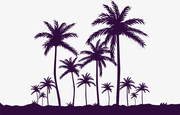 美丽海边度假椰子树