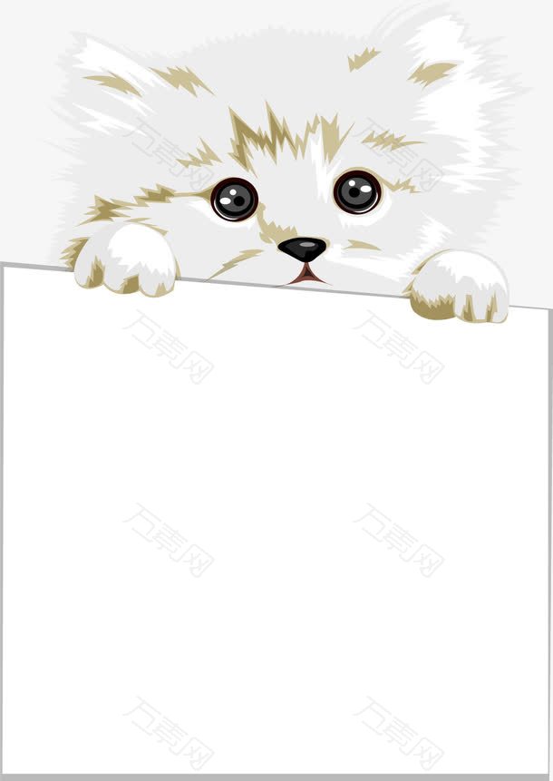 矢量宠物猫抓着纸板文字边框