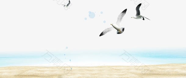 海鸥沙滩海水元素