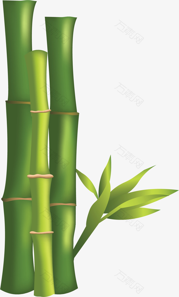 美容院植物绿色竹林