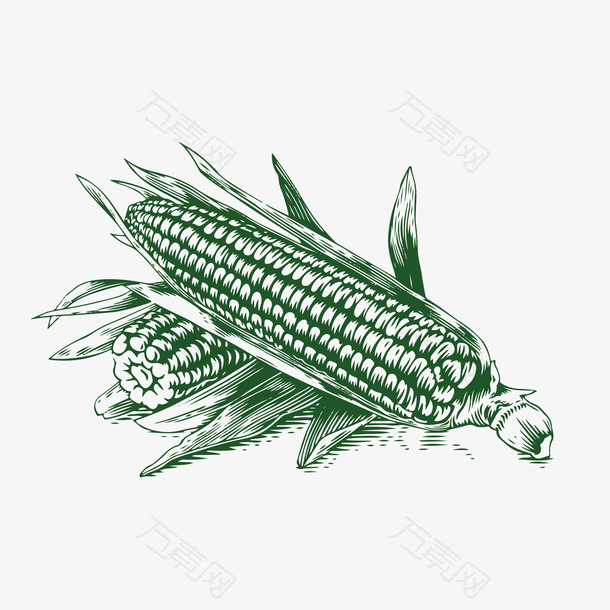 玉米手绘装饰素材图案