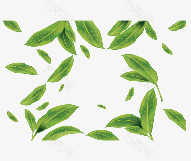 绿色夏季茶叶花纹