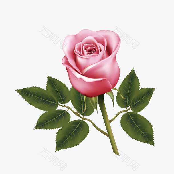 卡通手绘矢量粉色玫瑰花