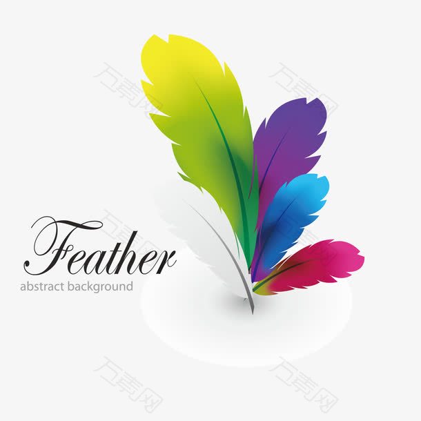 矢量彩色羽毛的设计logo