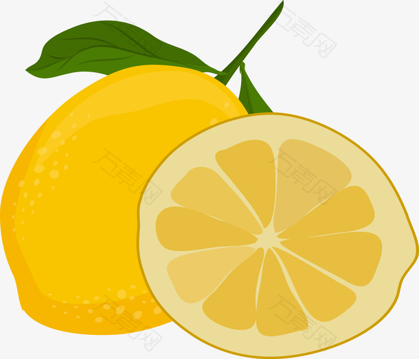 矢量金色柠檬水果图