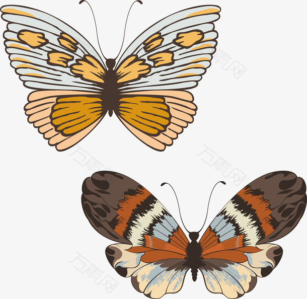 两只彩色的蝴蝶矢量元素