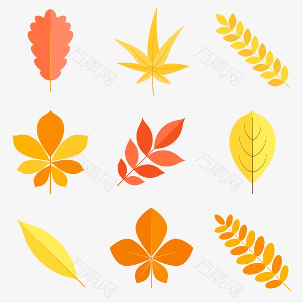 彩色秋季叶子矢量图