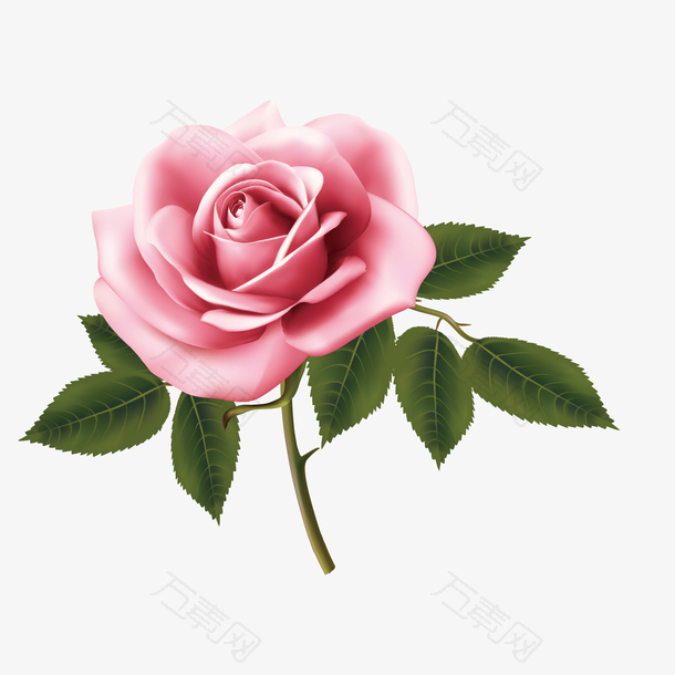 手绘卡通粉色矢量玫瑰花