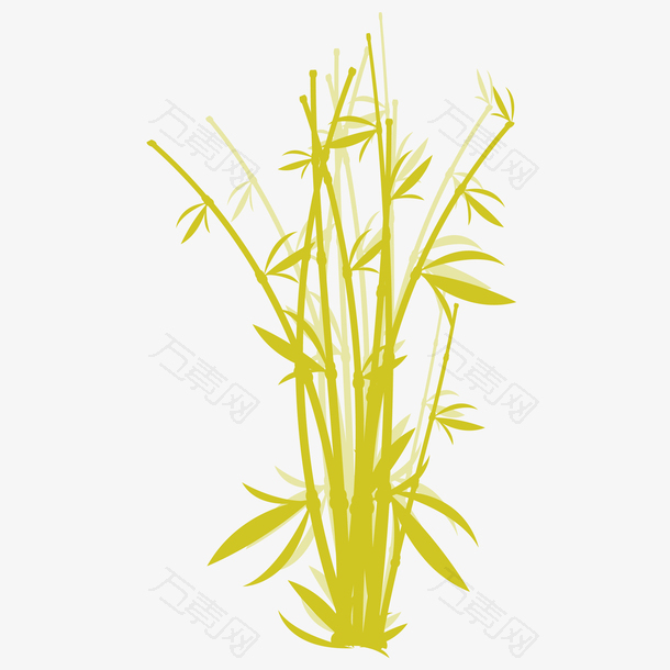 一丛大大小小的金色竹子带几片竹