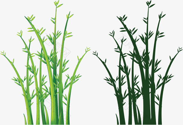卡通绿色竹子花纹