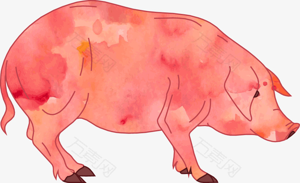 水彩画猪矢量图