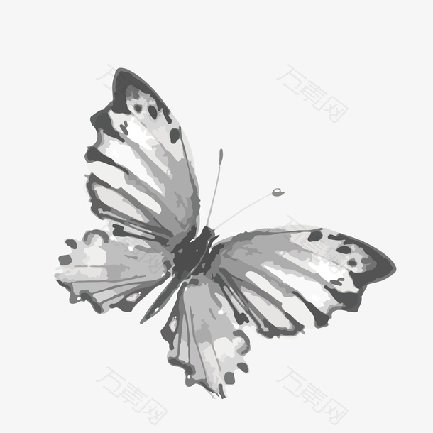矢量黑白手绘装饰蝴蝶