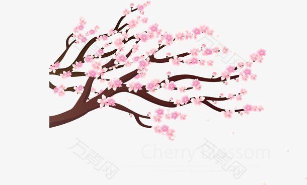 浪漫粉红樱花树枝