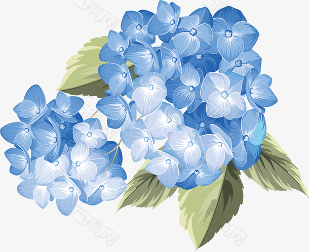 矢量图水彩蓝色花朵