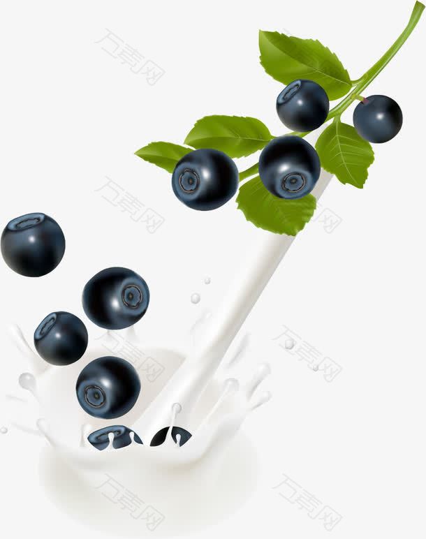 蓝莓牛奶滴喷溅