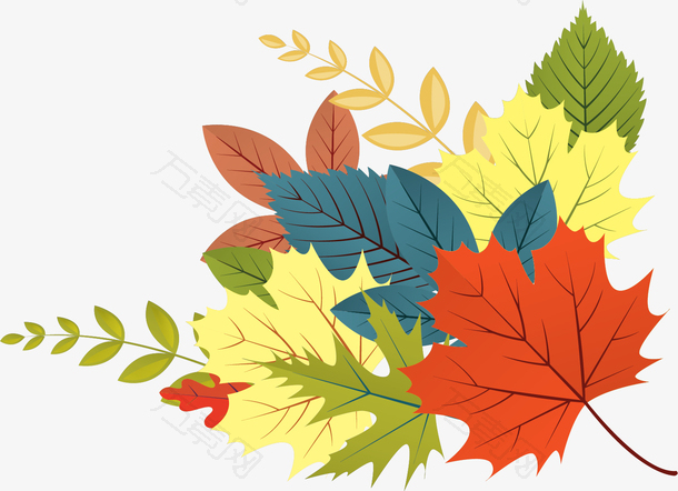 立秋秋季彩色树叶