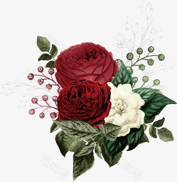 手绘复古玫瑰花卉植物