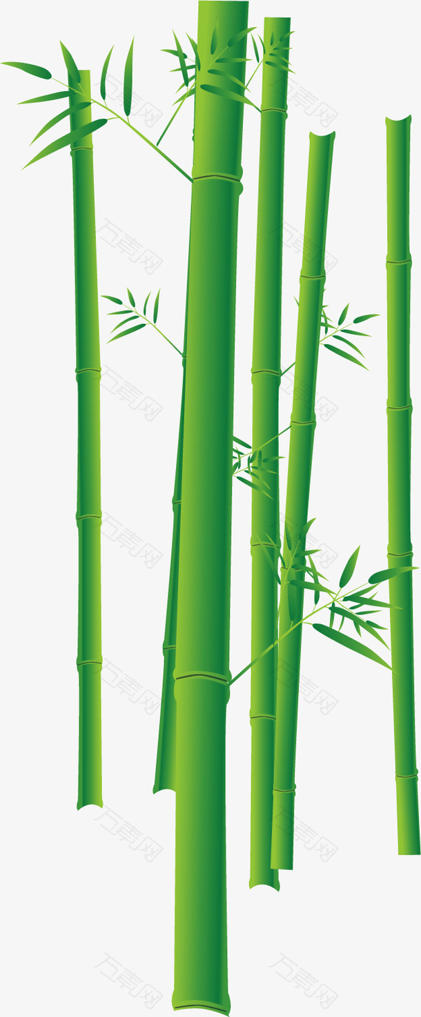 矢量图水彩绿色竹林