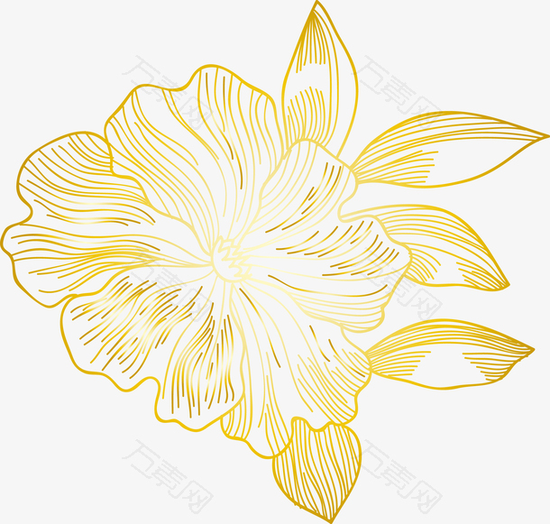 金色花朵矢量素材图
