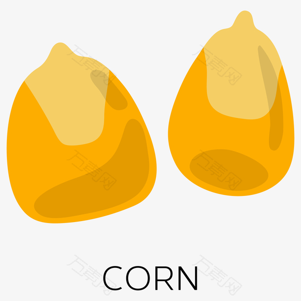 玉米种子矢量插画