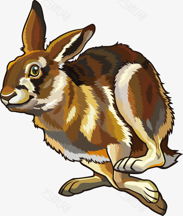 水彩动物兔子素材
