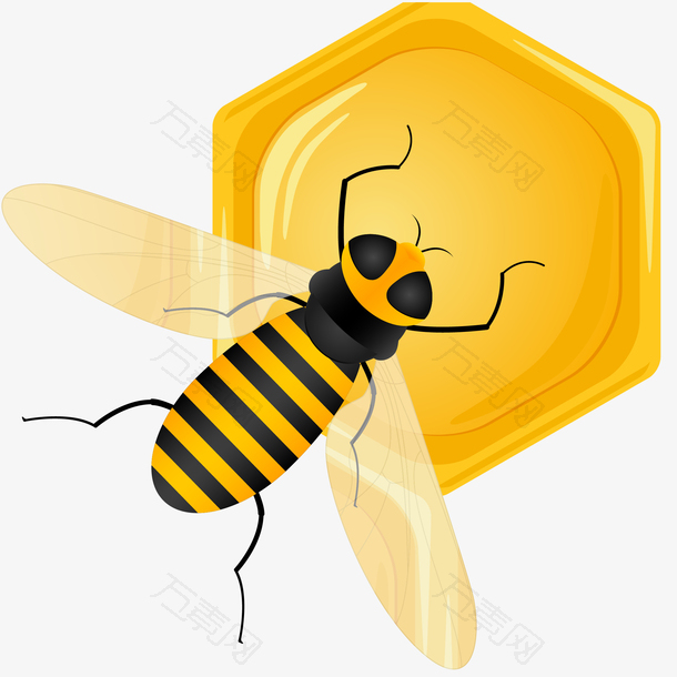 采蜂蜜的蜜蜂矢量素材