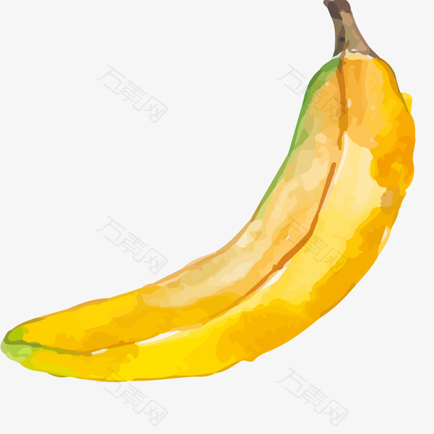 一根香蕉水彩插画