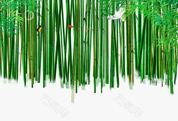野外绿色竹林