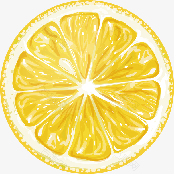 矢量图水彩黄色柠檬片