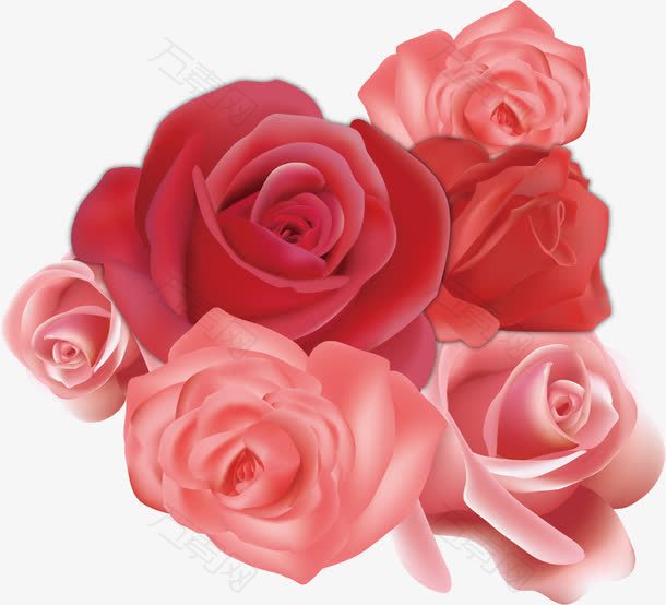 漂亮可爱玫瑰花海素材