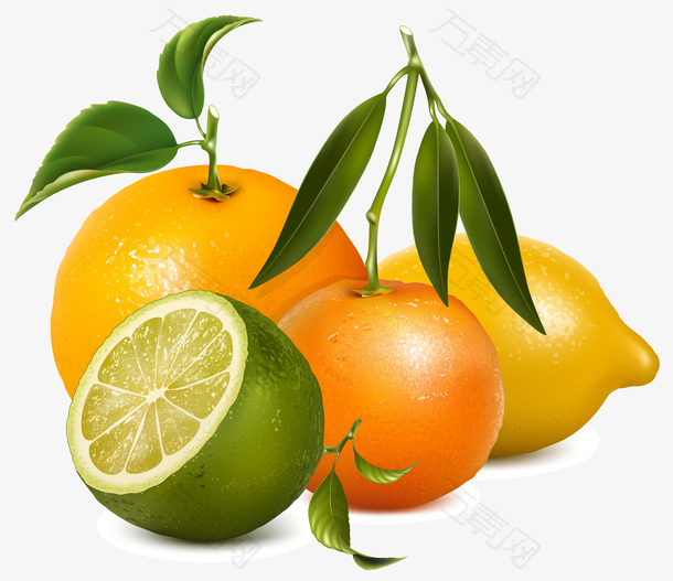 一组橙子柠檬