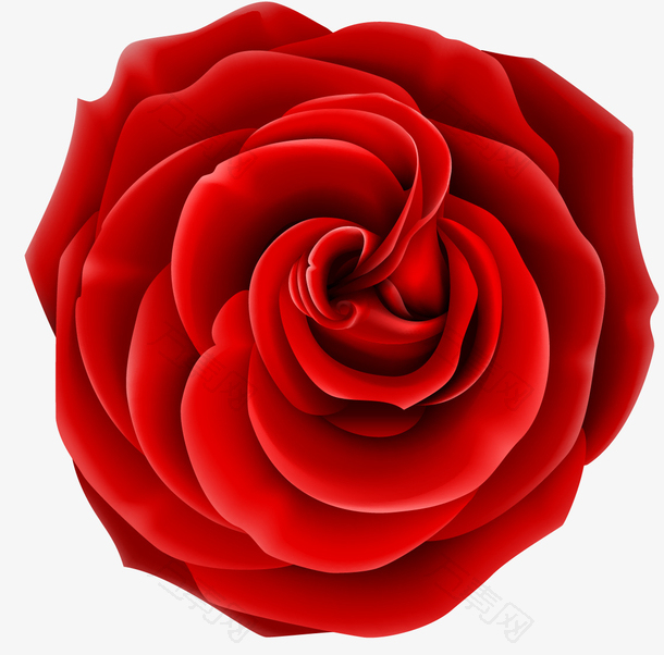 红色唯美玫瑰花