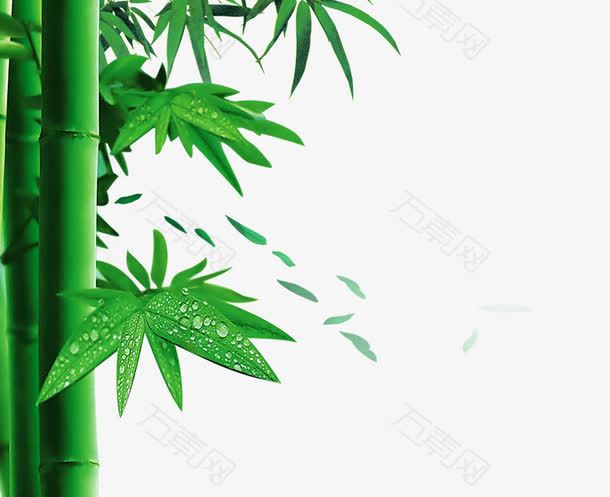 绿色竹子