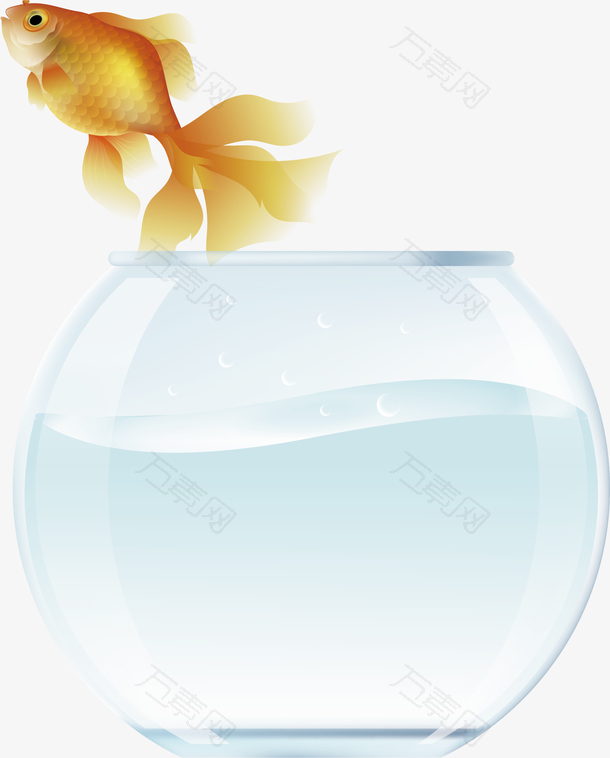 金鱼跳出水缸场景