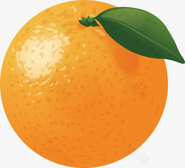 手绘美味水果橘子矢量素材