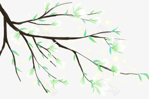 手绘装饰春天树枝元素