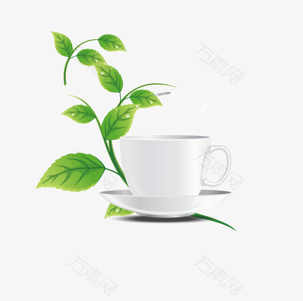 手绘茶叶绿茶叶子
