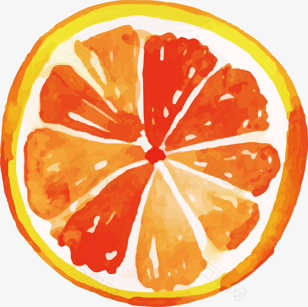 矢量图可口的橙子