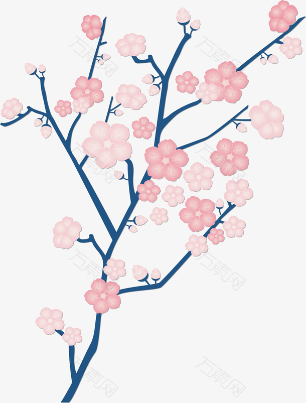 美丽樱花节樱花树枝