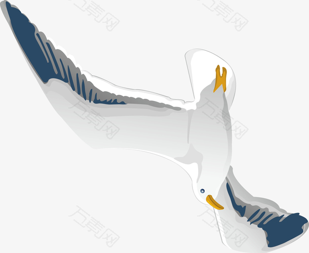 飞翔图案海鸥装饰设计矢量