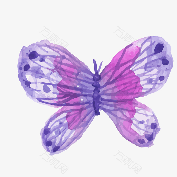 水彩绘蝴蝶设计矢量