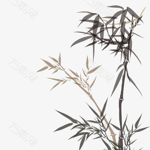 中秋节素材竹子